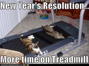 Top-18-new-years-resolution-meme-6