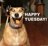 6a60e52c72ae0acde9895c74013201ef.jpg.pro-cmg(1)