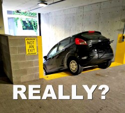 fed1da6da79ca8f0cba2aa0c88e14d9e4574831562243604(1)