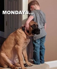 Screenshot_2020-02-06 Instagram(2)