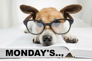 shutterstock_211047982(1)