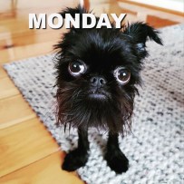 Screenshot_2020-04-04 Instagram(5)