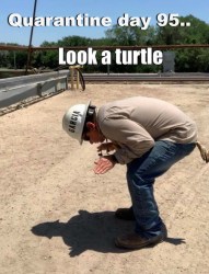 94975912_1237801136564470_4748418844916187136_n(1)