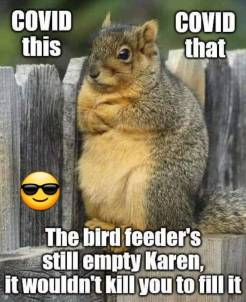 97023154_1246609102350340_8176402620911452160_n