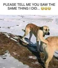 105347283_1285782681766315_5695458424244927664_n