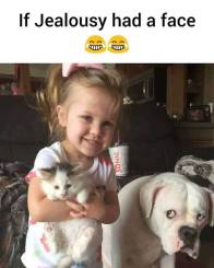 105895329_1292746257736624_1480403056035223620_n