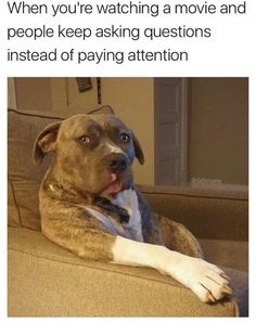 71234e397db05145a50d5882f91931d1