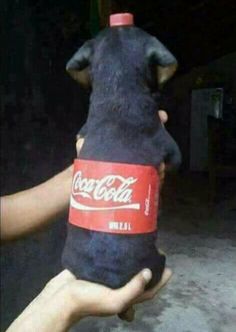 4d7415f5e79e5e6c3cf0c0008fa3a144